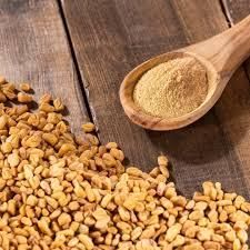 Premium Indian Fenugreek Seeds & Ground Powder (Methi Dana) | Desi, Bold Seeds & Sortex Cleaned Grades | High Purity Export Quality – product photo 3, product detail gallery